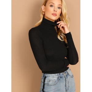 High Neck Rib Knit Solid Tee